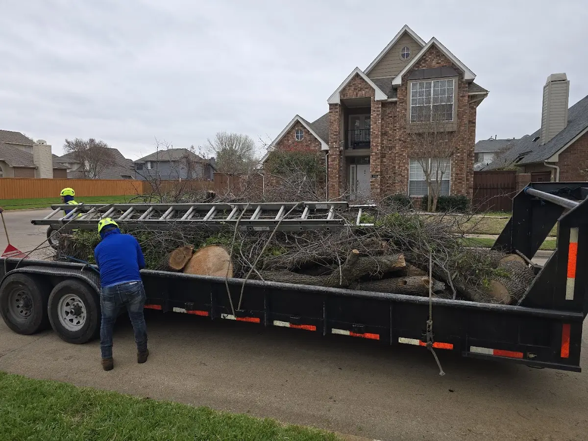 Expert Tree Pest Control with proper safety equipment in Pleasantville